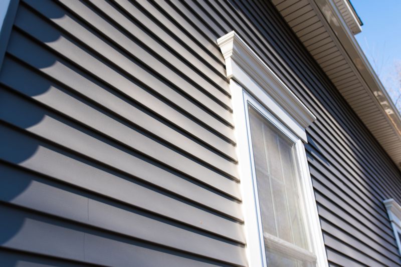 Vinyl Siding Replacement
